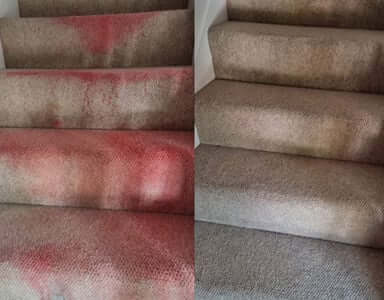 before and after carpet cleaning by eco 